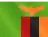 ZM